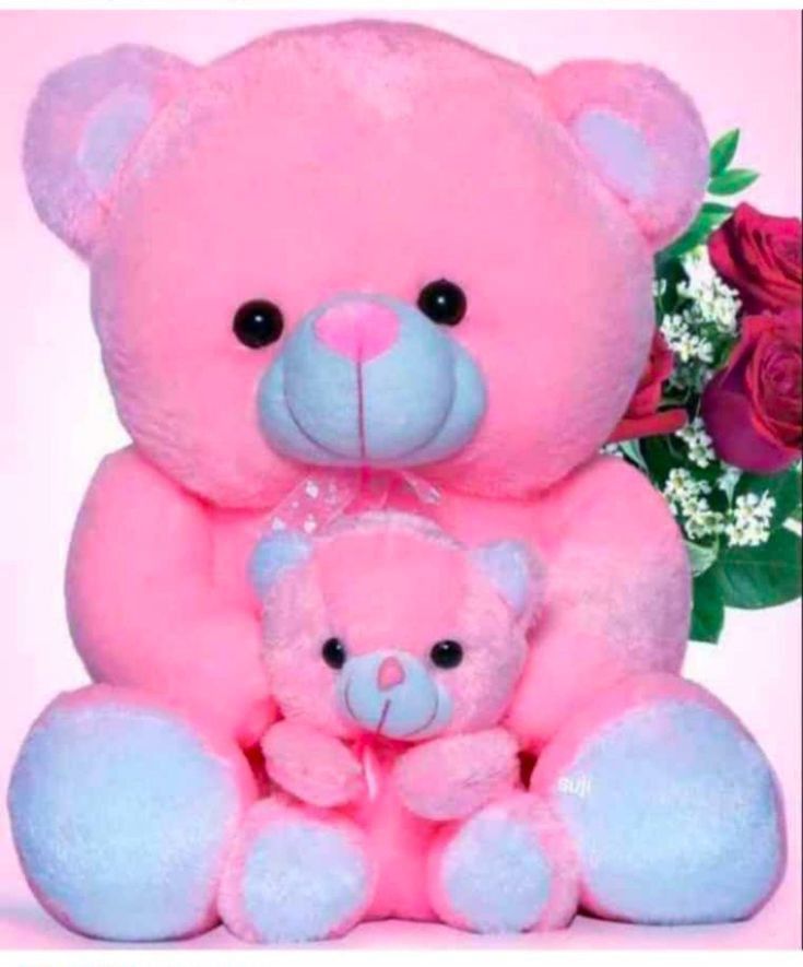 Kids teady bear